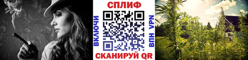 Продажа наркотиков Бакал СК МЕФ Бошки Шишки КОКАИН